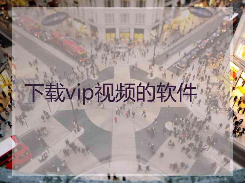 下载vip视频的软件