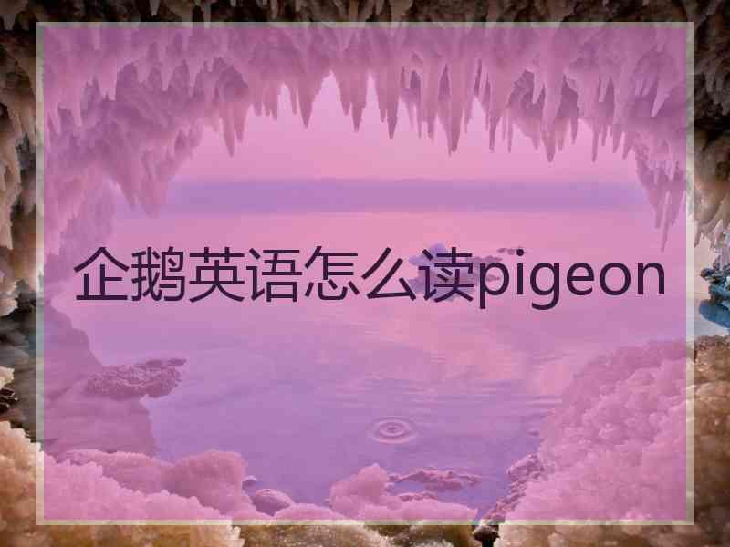 企鹅英语怎么读pigeon