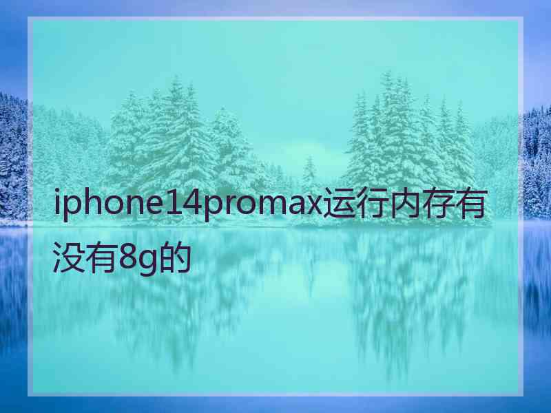 iphone14promax运行内存有没有8g的