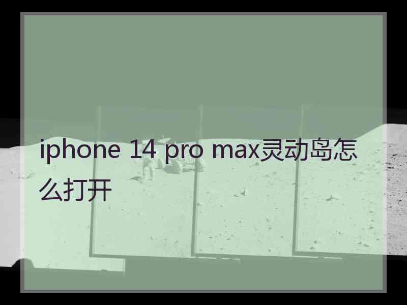 iphone 14 pro max灵动岛怎么打开