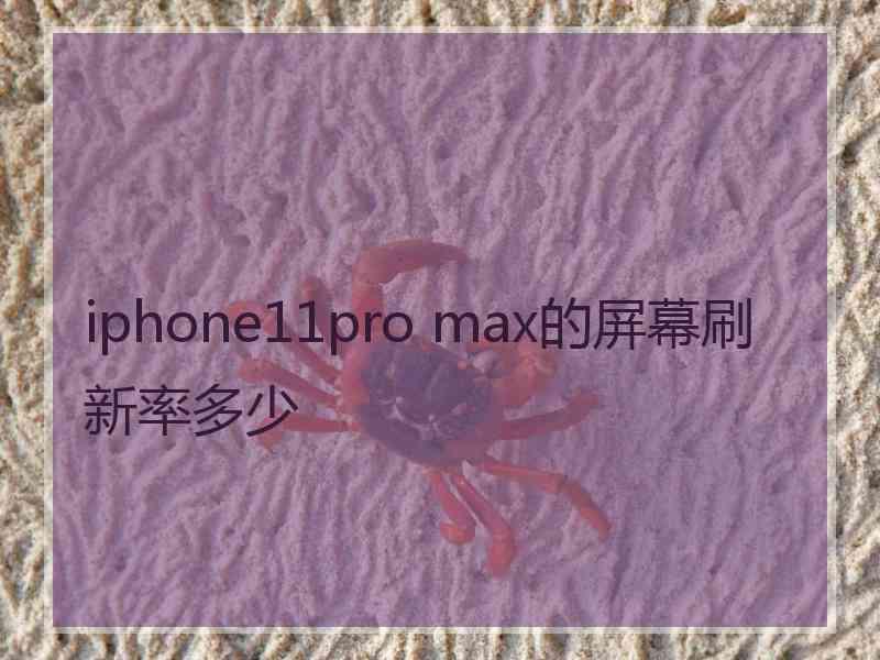 iphone11pro max的屏幕刷新率多少