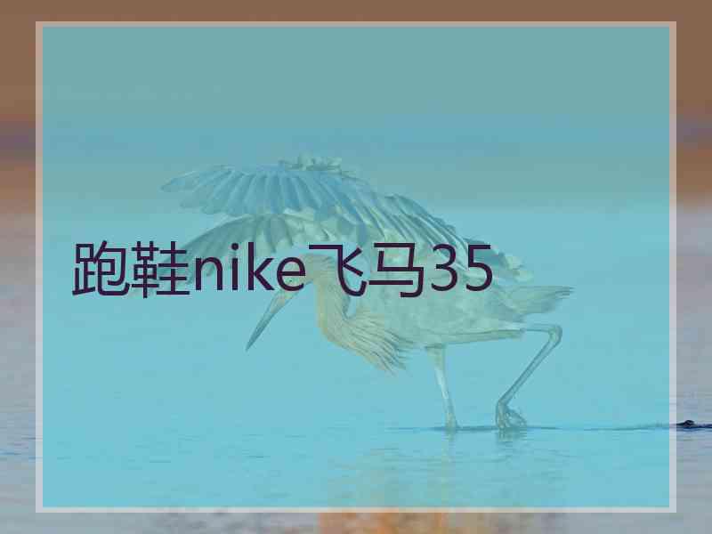 跑鞋nike飞马35