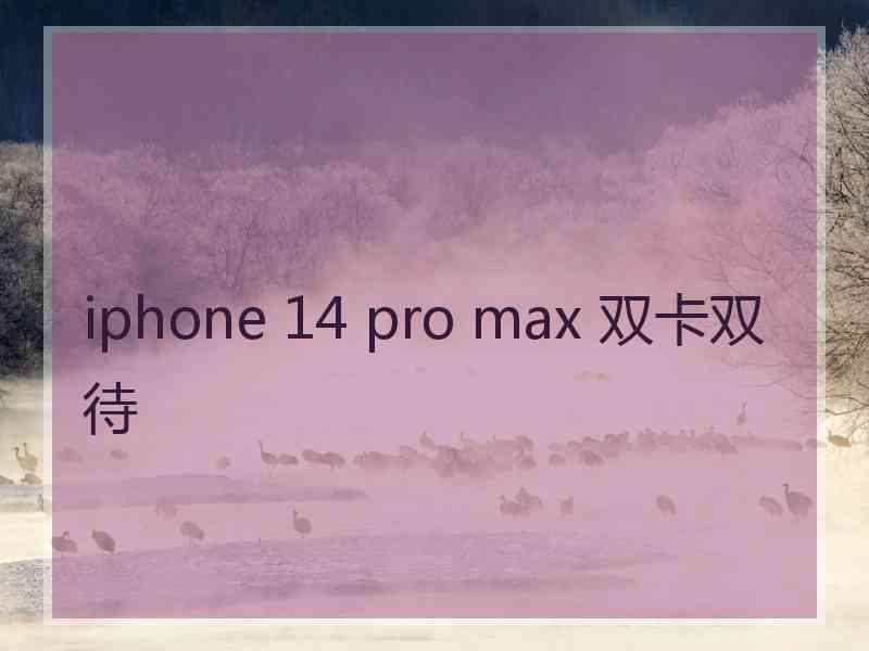 iphone 14 pro max 双卡双待