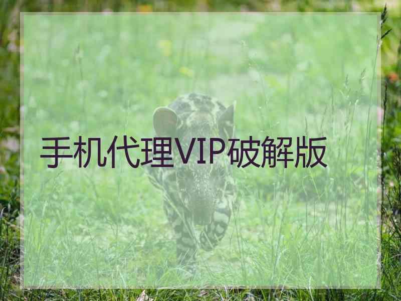 手机代理VIP破解版