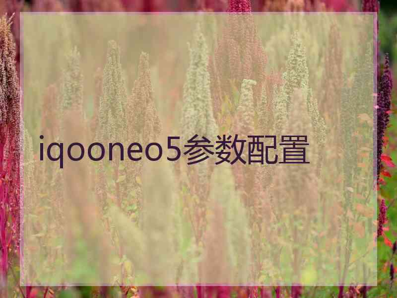 iqooneo5参数配置