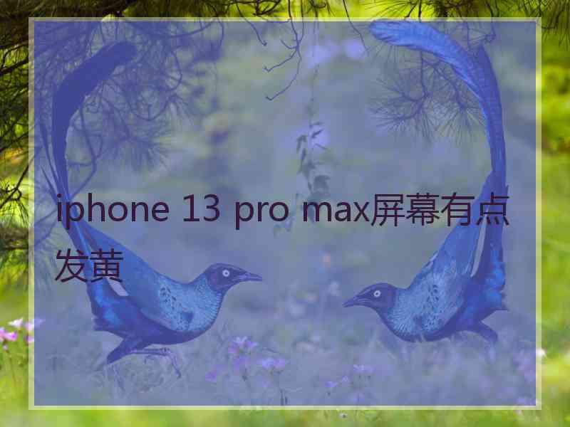 iphone 13 pro max屏幕有点发黄