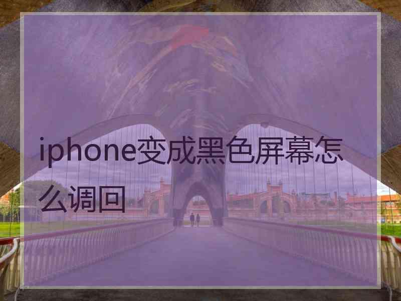 iphone变成黑色屏幕怎么调回