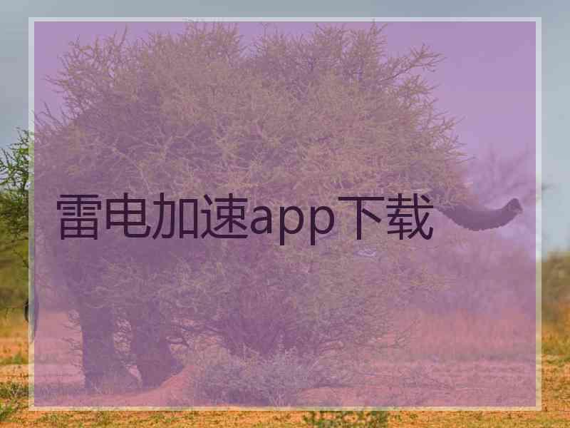 雷电加速app下载