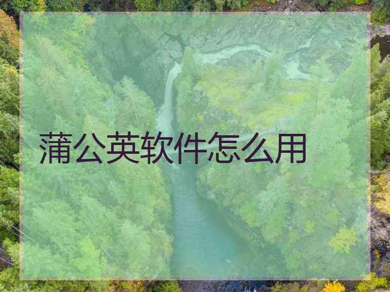 蒲公英软件怎么用