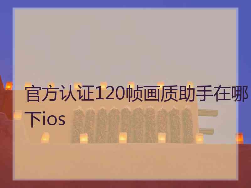 官方认证120帧画质助手在哪下ios