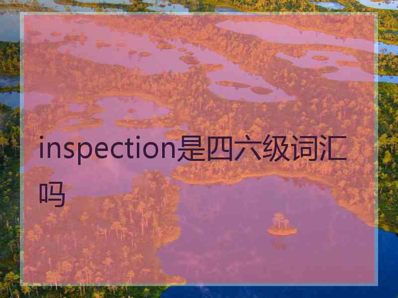 inspection是四六级词汇吗