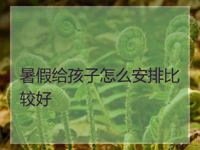 暑假给孩子怎么安排比较好