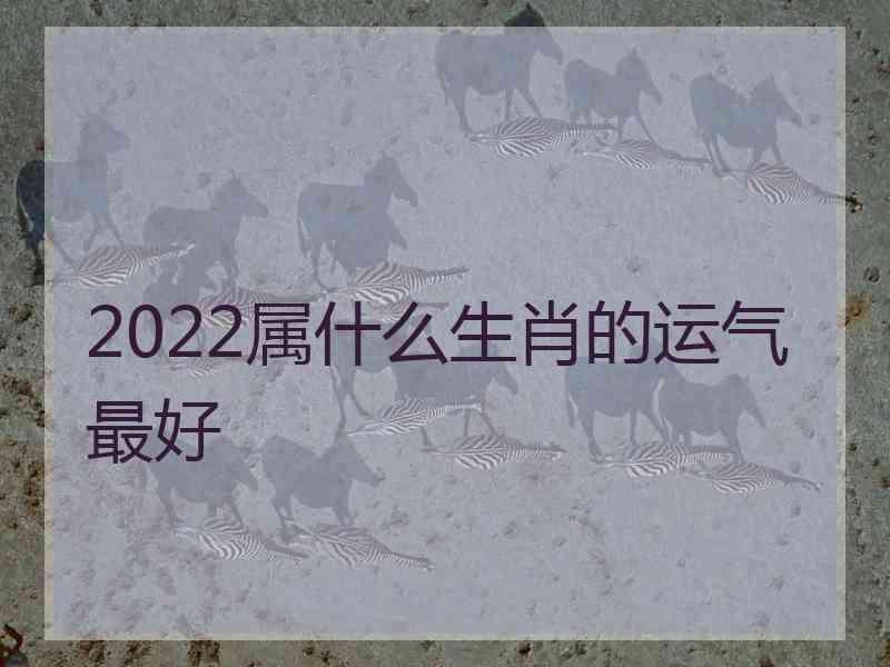 2022属什么生肖的运气最好