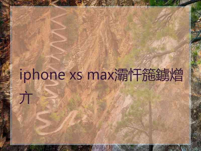 iphone xs max灞忓箷鐪熷亣