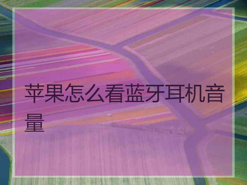 苹果怎么看蓝牙耳机音量