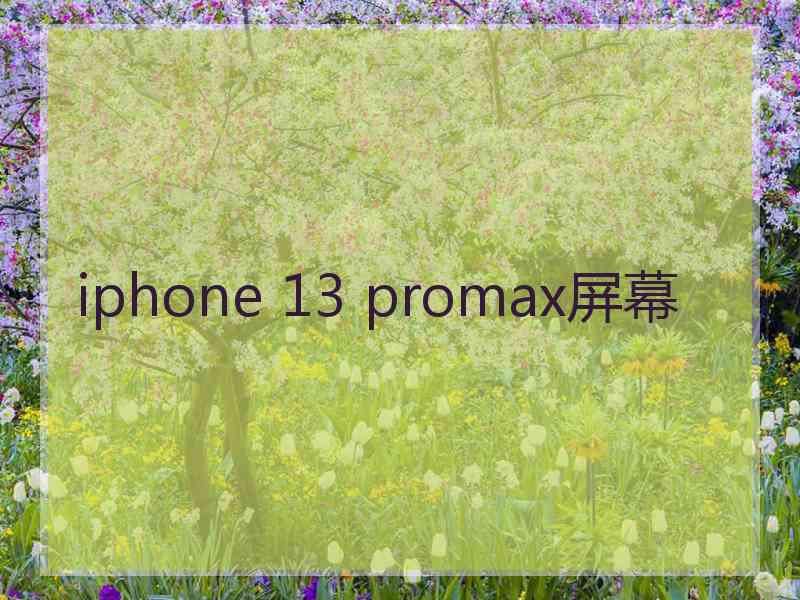 iphone 13 promax屏幕