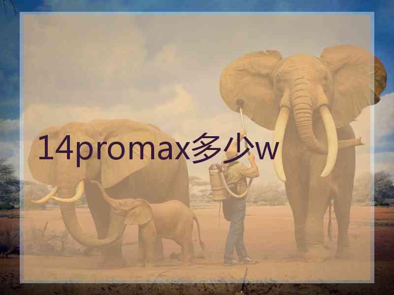 14promax多少w