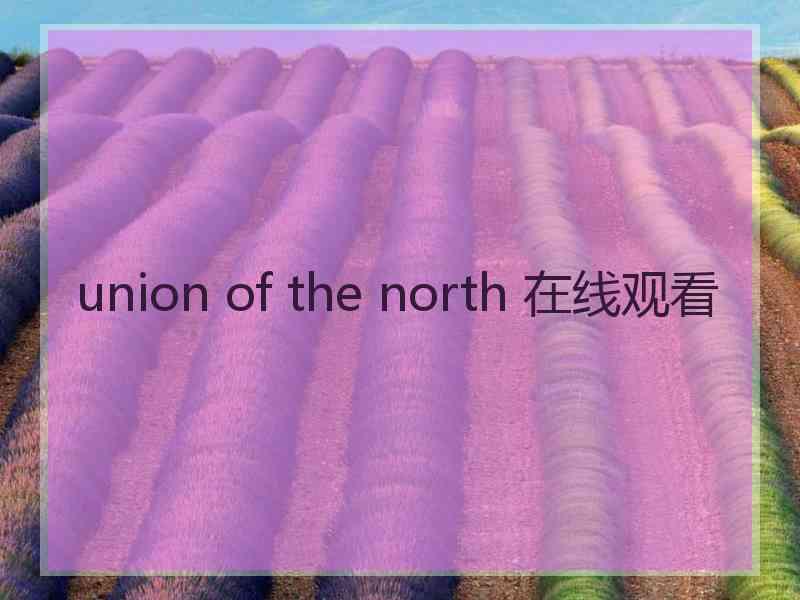 union of the north 在线观看