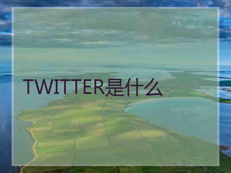 TWITTER是什么