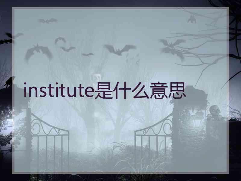 institute是什么意思