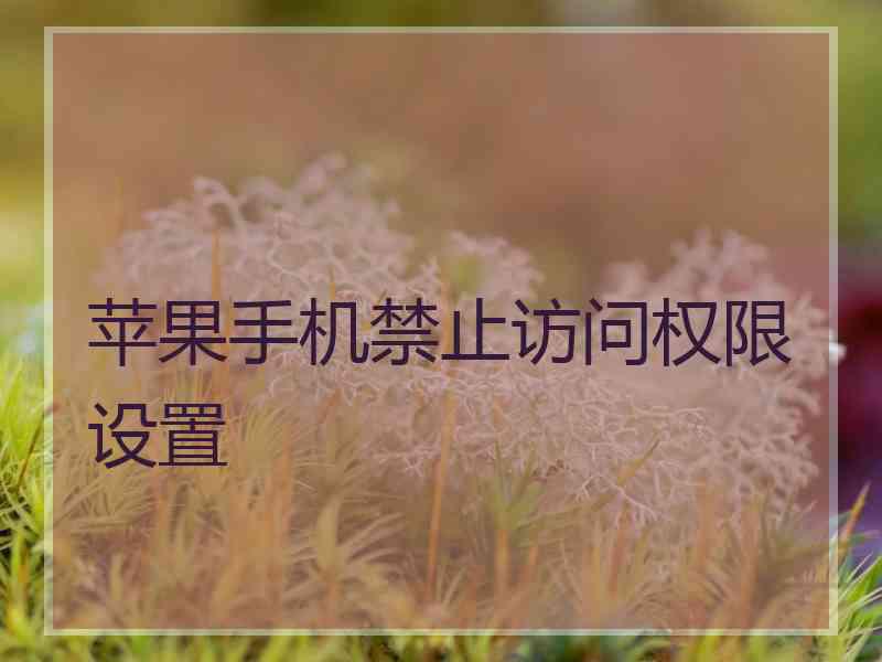 苹果手机禁止访问权限设置