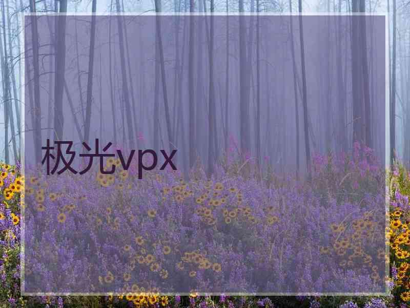 极光vpx