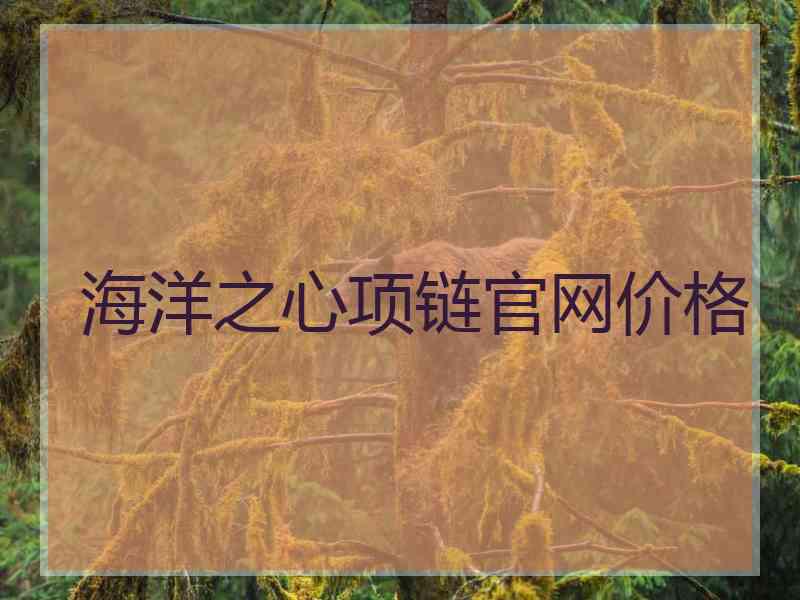 海洋之心项链官网价格