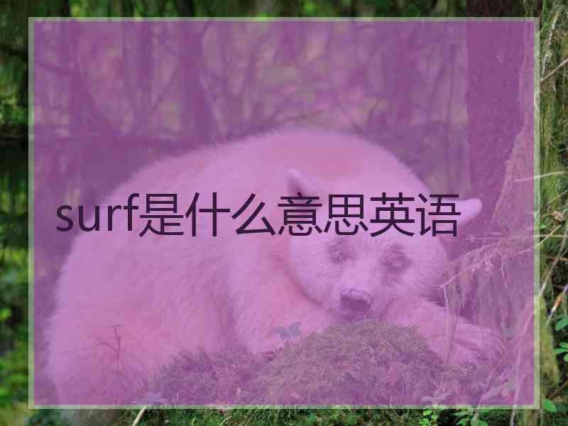 surf是什么意思英语