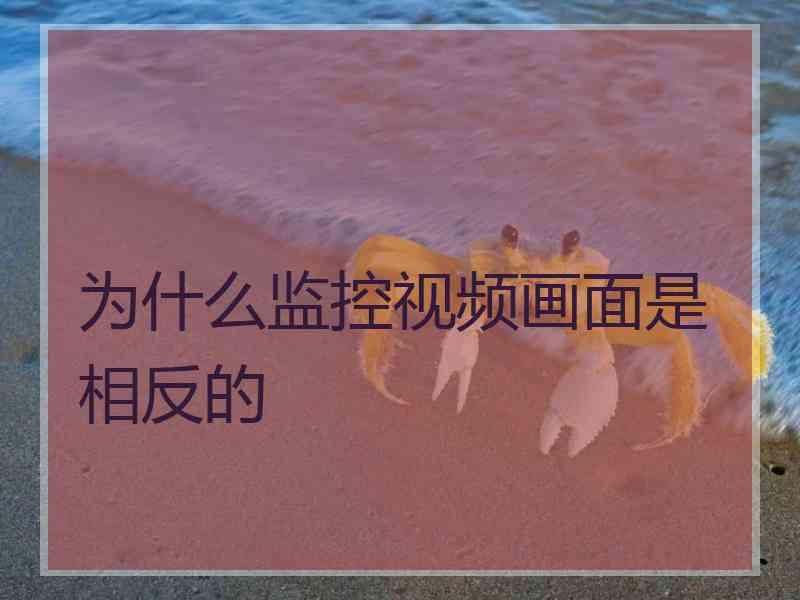 为什么监控视频画面是相反的