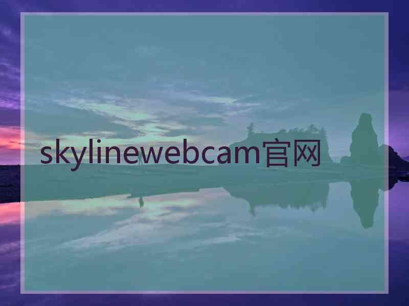 skylinewebcam官网