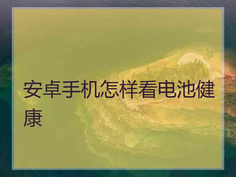 安卓手机怎样看电池健康