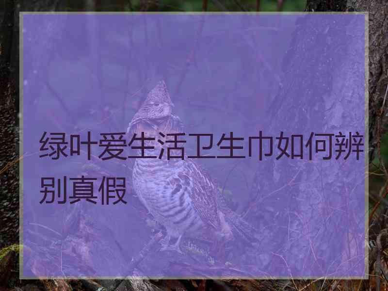 绿叶爱生活卫生巾如何辨别真假