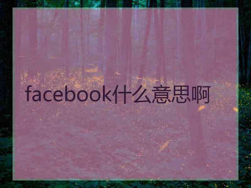 facebook什么意思啊