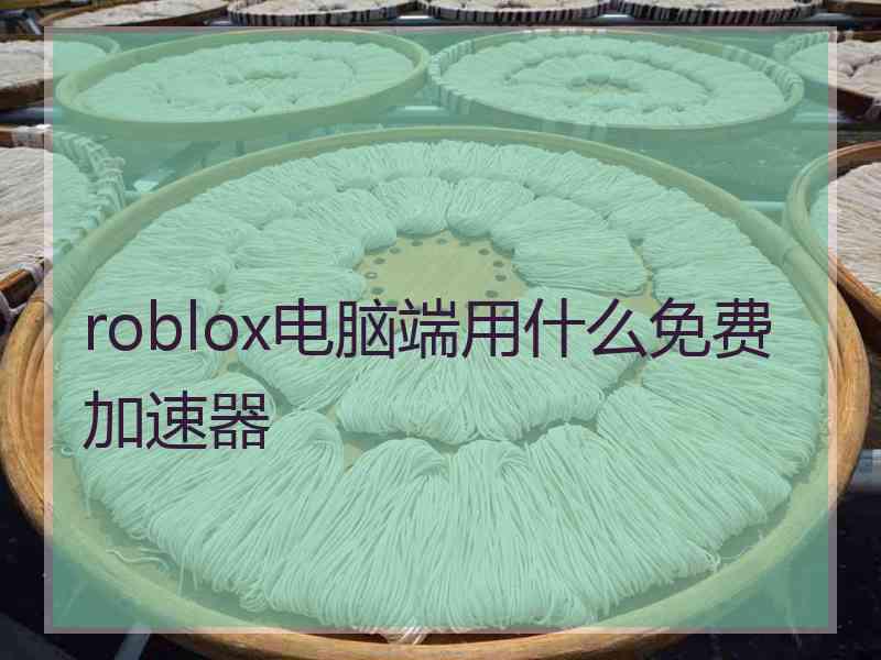 roblox电脑端用什么免费加速器