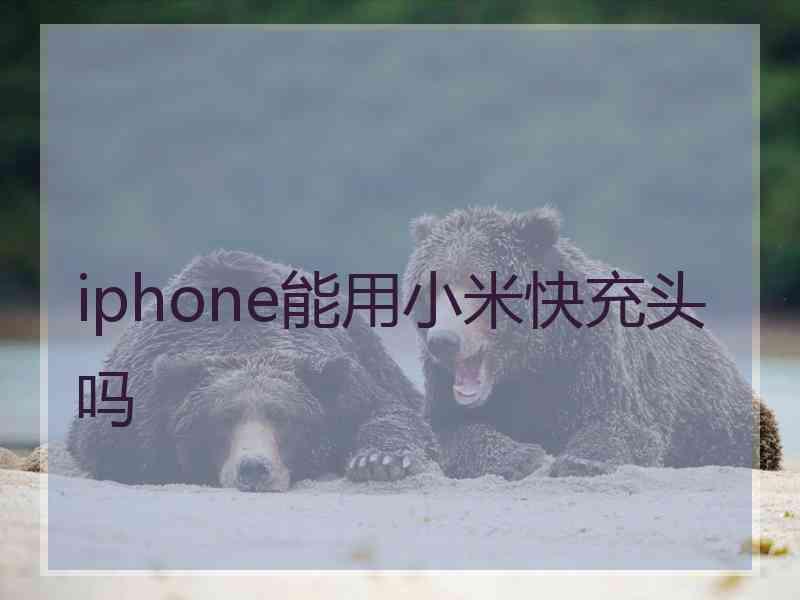 iphone能用小米快充头吗