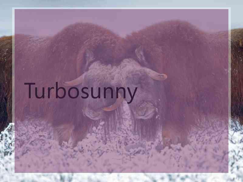 Turbosunny