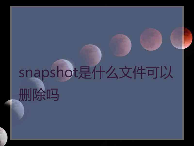 snapshot是什么文件可以删除吗