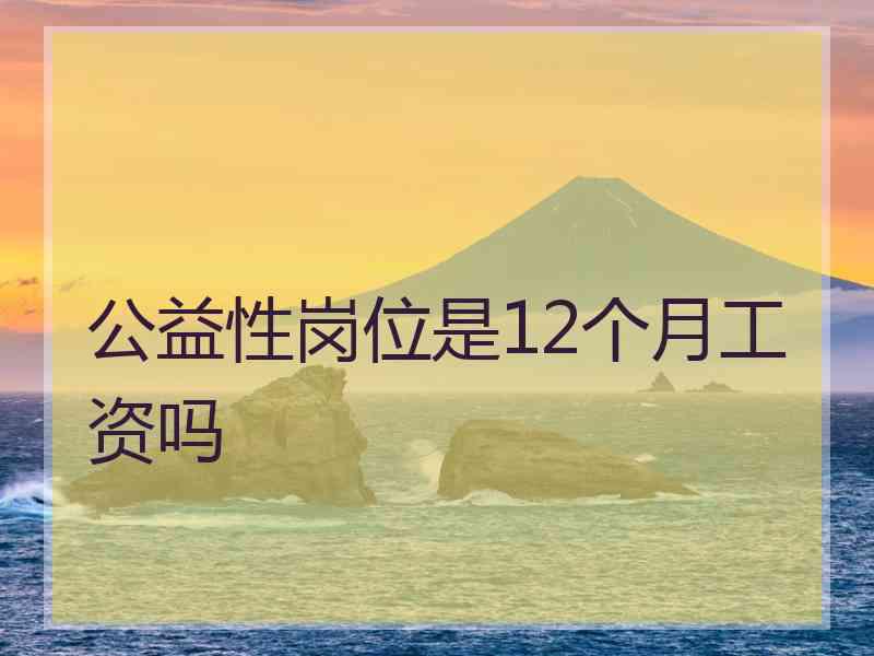 公益性岗位是12个月工资吗