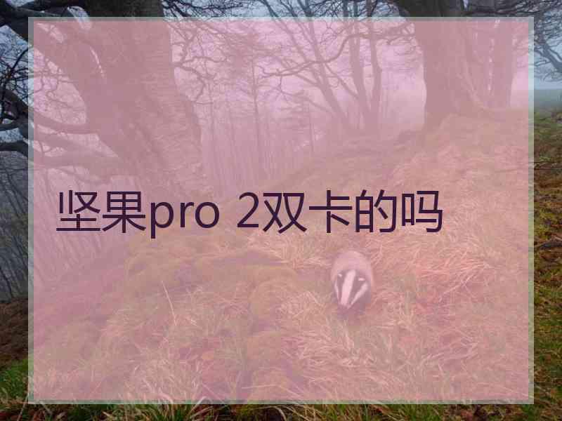 坚果pro 2双卡的吗