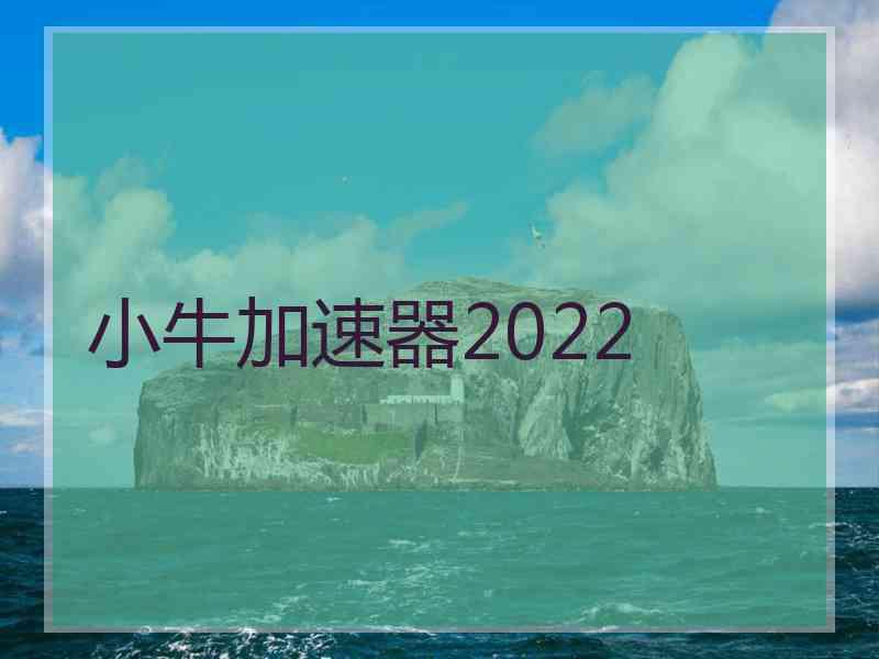 小牛加速器2022