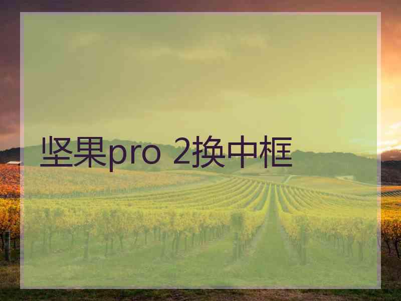 坚果pro 2换中框