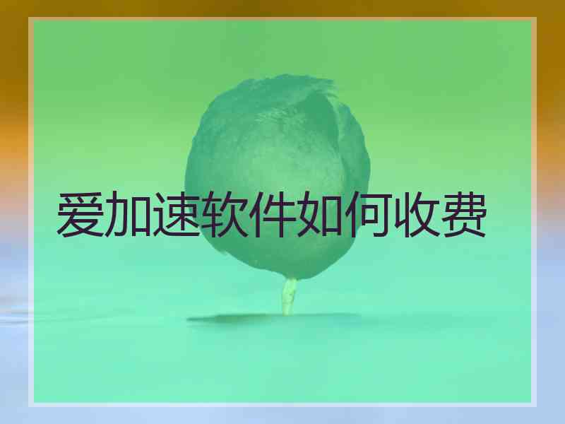 爱加速软件如何收费