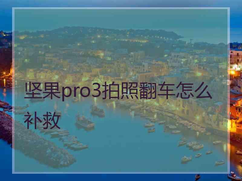 坚果pro3拍照翻车怎么补救