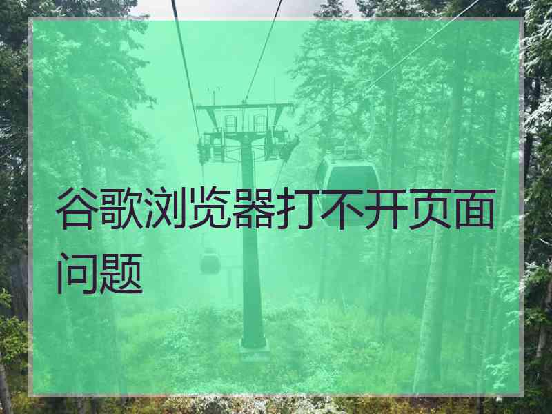 谷歌浏览器打不开页面问题