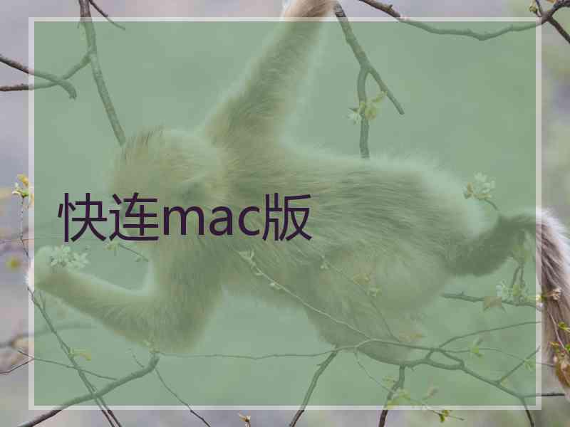 快连mac版