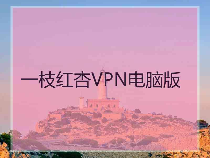 一枝红杏VPN电脑版