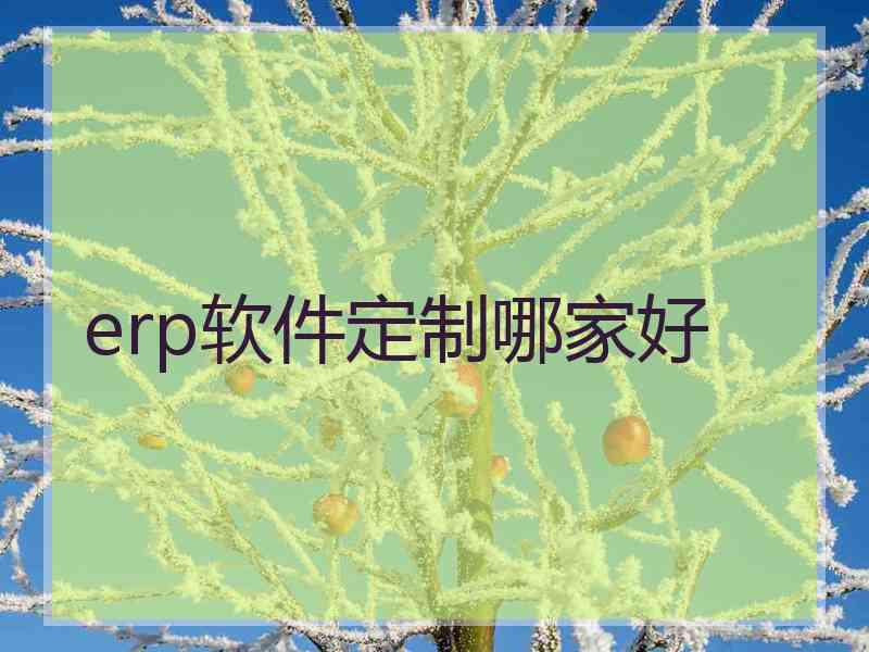 erp软件定制哪家好