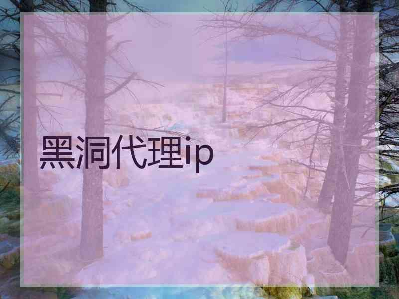 黑洞代理ip