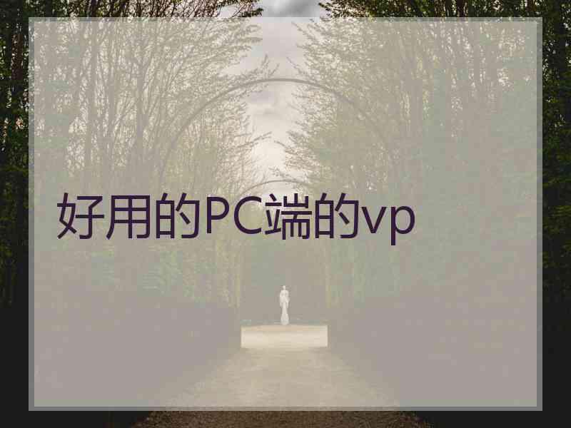 好用的PC端的vp