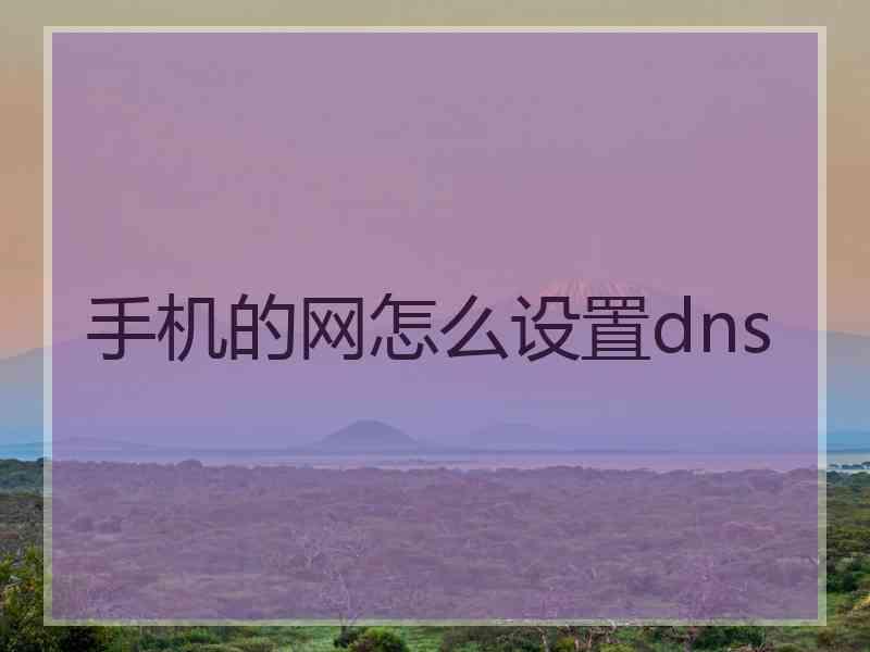 手机的网怎么设置dns